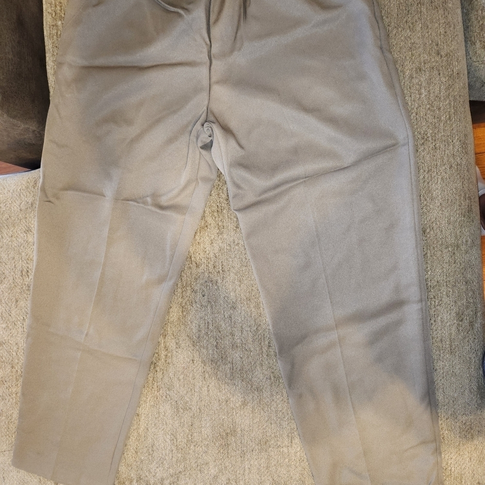 Briggs New York NWT Women's Brown Pants